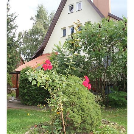 Apartament Lesny Supraśl Exterior foto